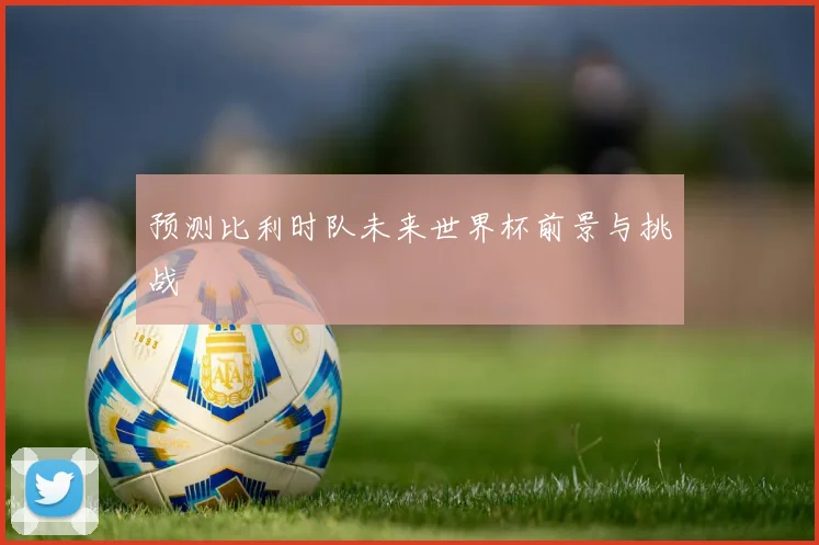 预测比利时队未来世界杯前景与挑战