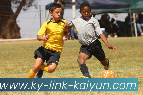 开云平台生态图